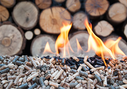 Holz- & Pelletheizung